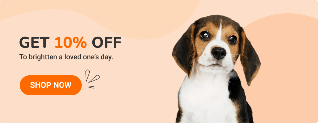 Baner izquierdo index 2